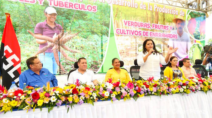 presentan-estrategia-para-produccion-raices-tuberculos-nicaragua
